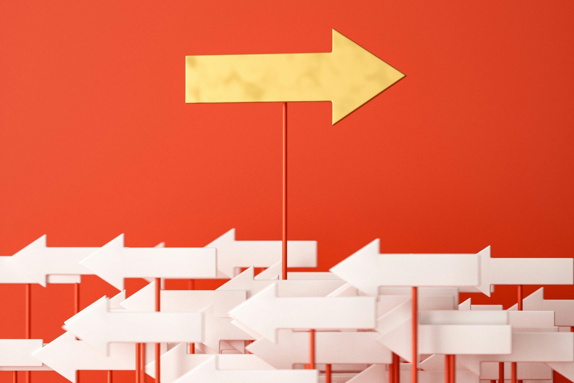 Newcomer Paperwork Survival Guide